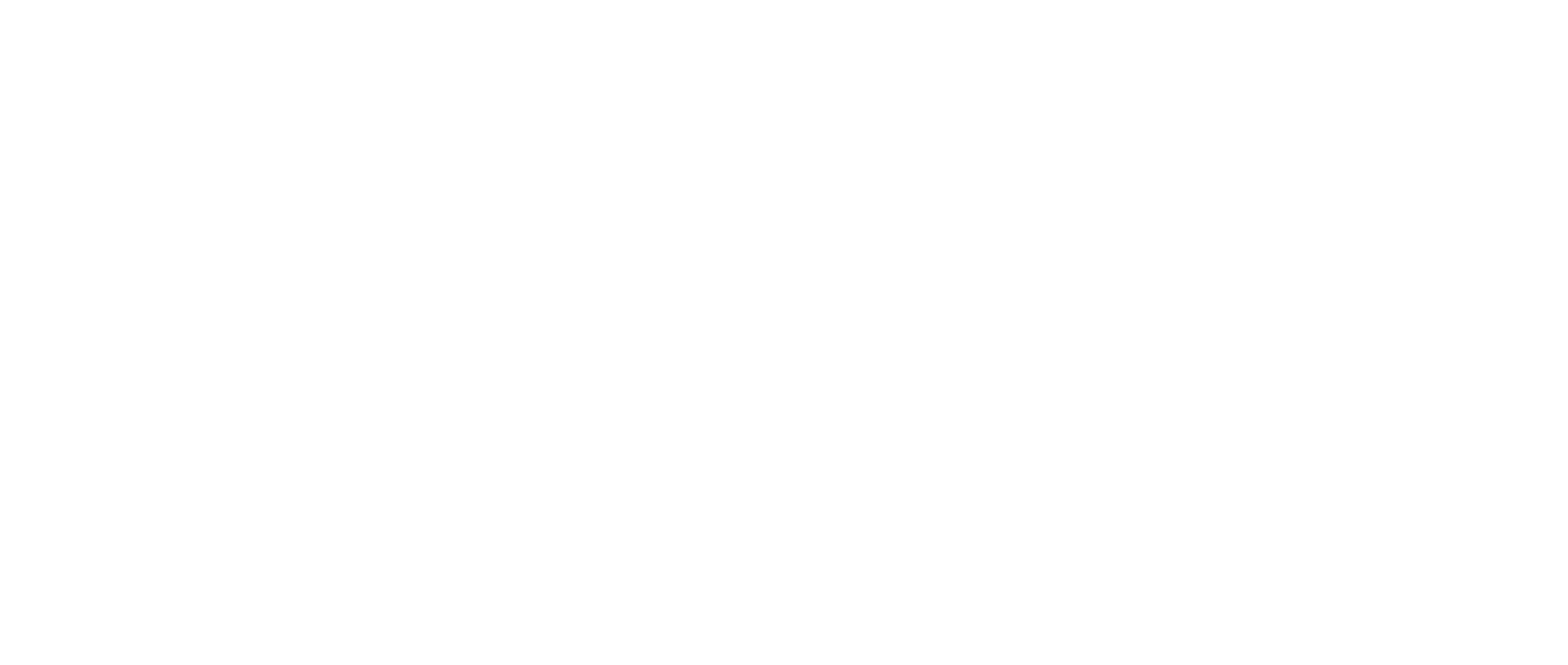 Voyager Management